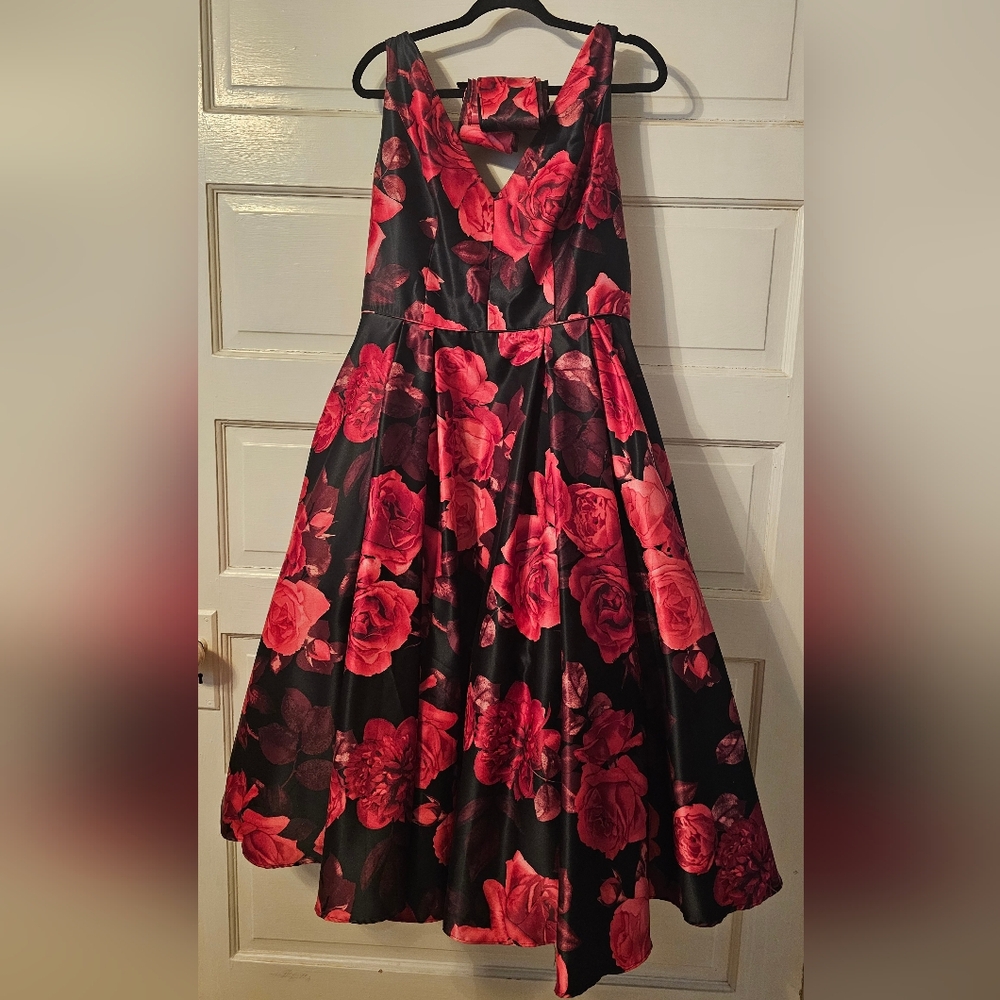 Floral Sleeveless Black and Red Dress